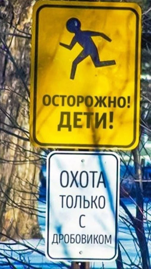 Чат