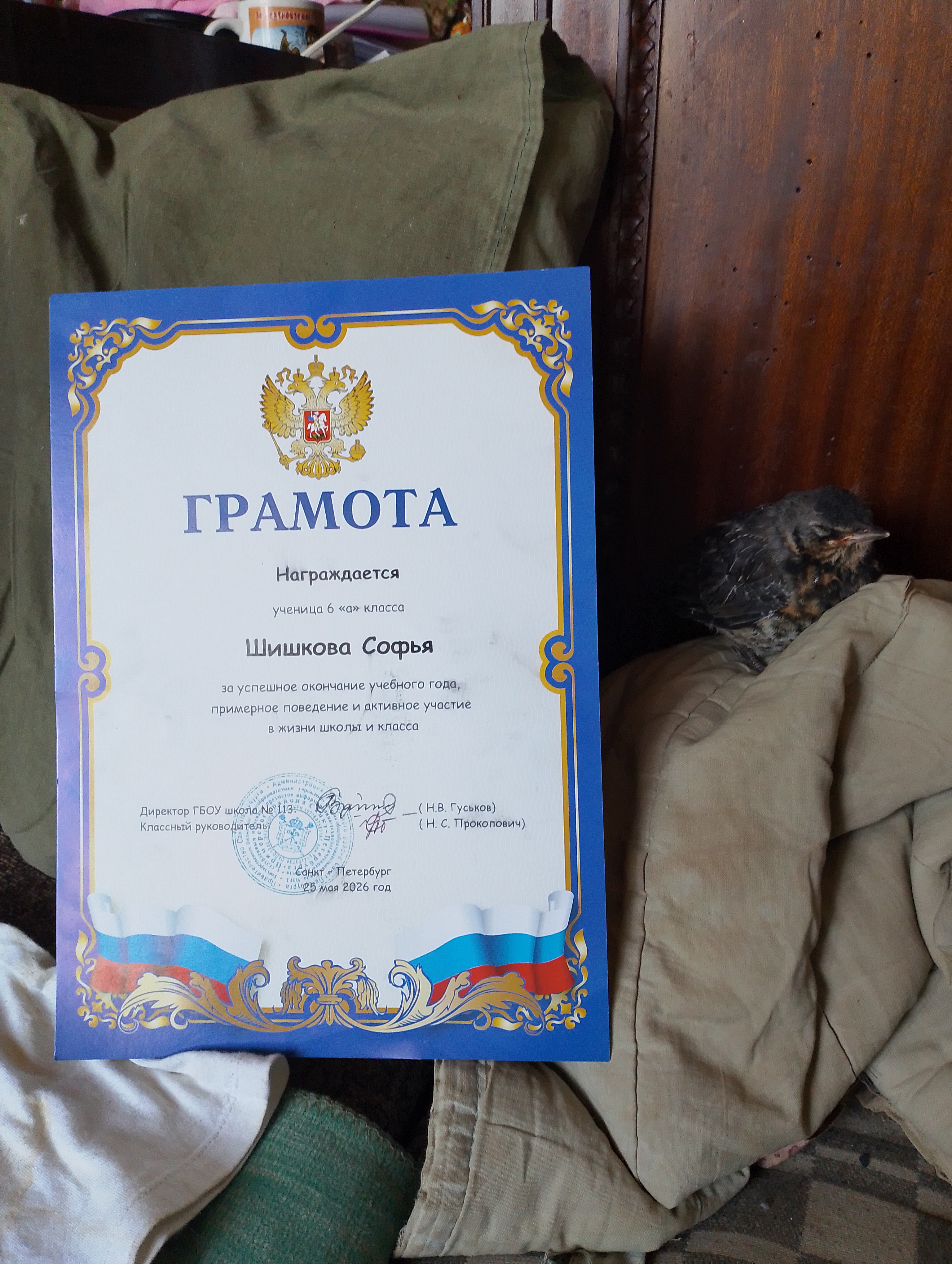 Бл, за какие это заслуги? Я в школе только матерюсь и хулиганю, и нигде не участвую, так зачтооооо??? Птича 😍😍😍