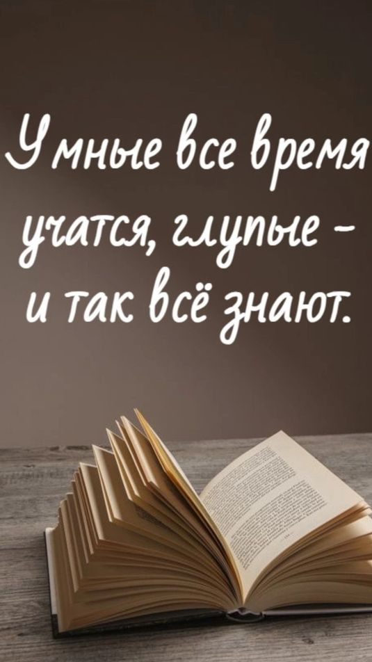 Чат