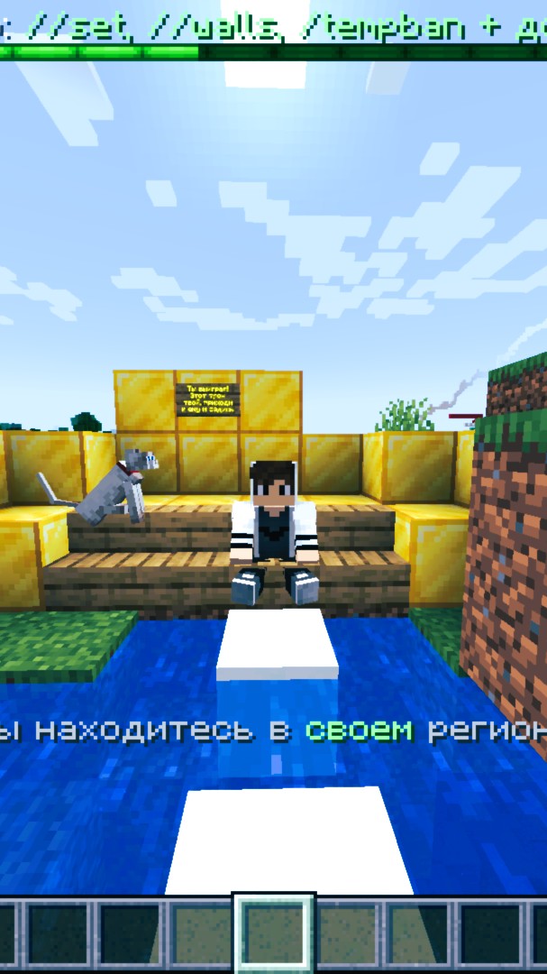 Minecraft