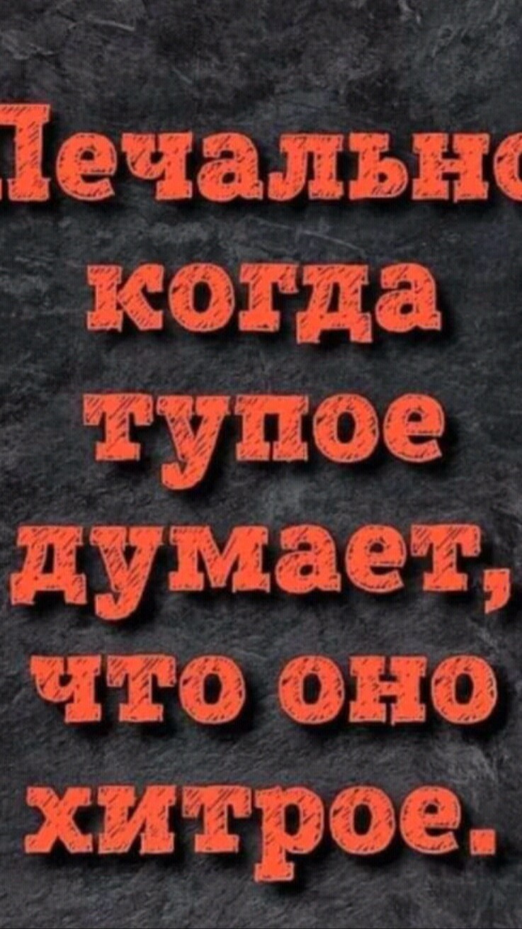 Чат