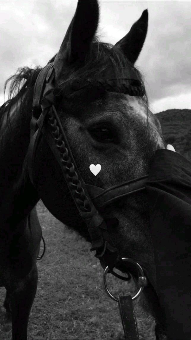 🖤🖤🖤