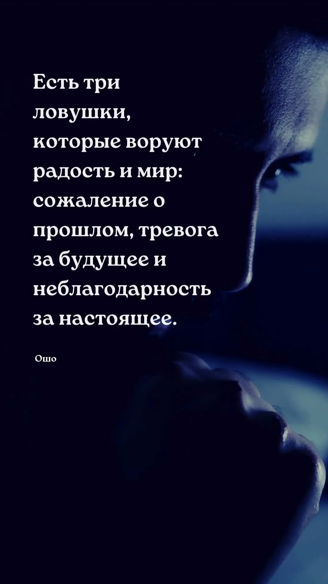 Чат