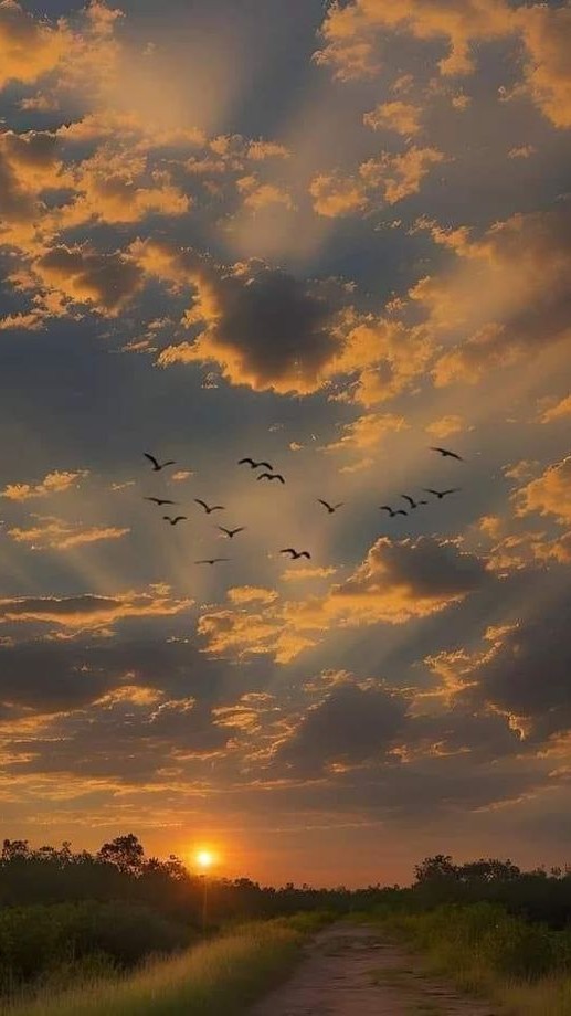 ♫ Vibe ♫:  GRAVECHILL - Sunset