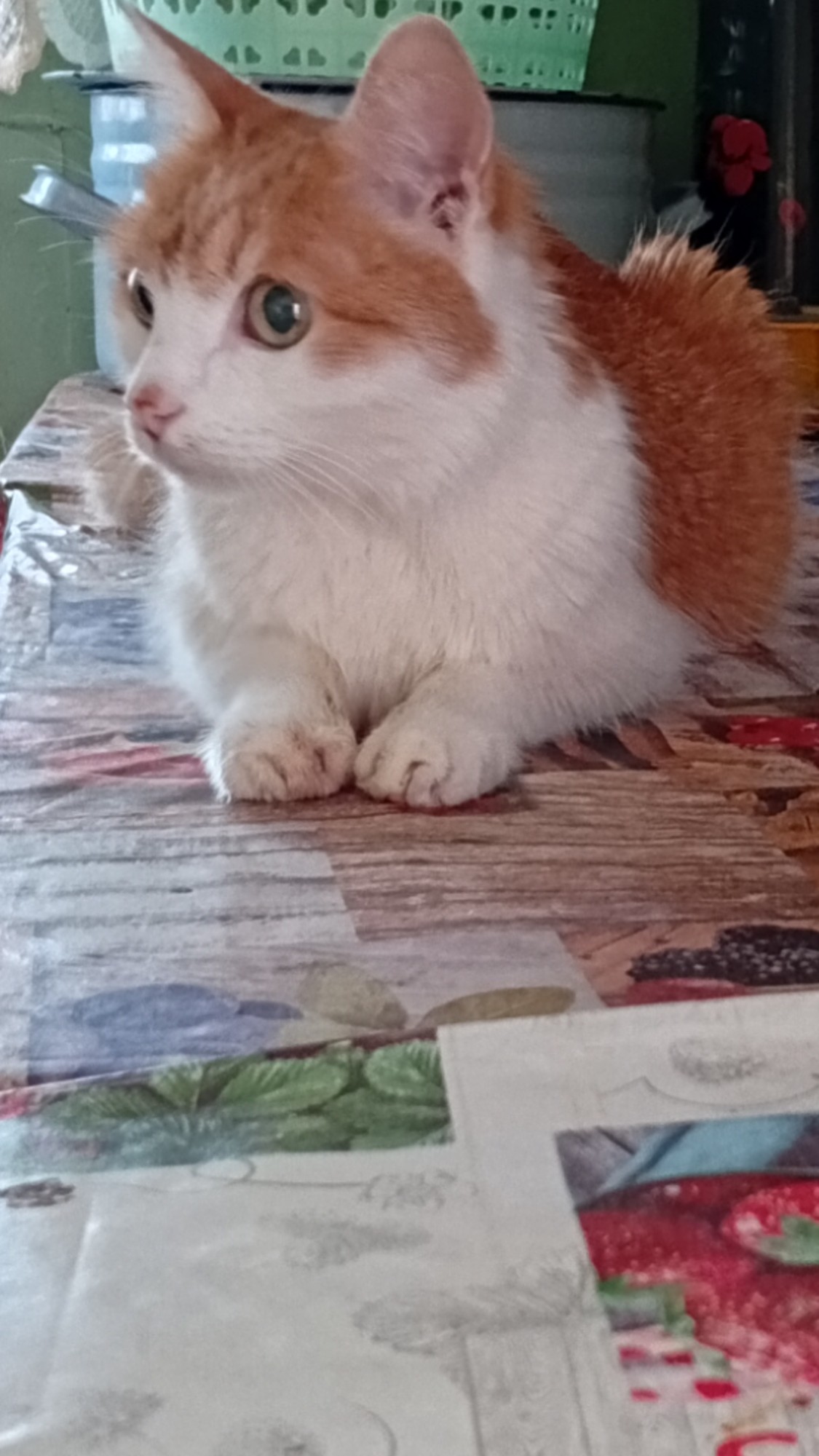 Милашка 😍
