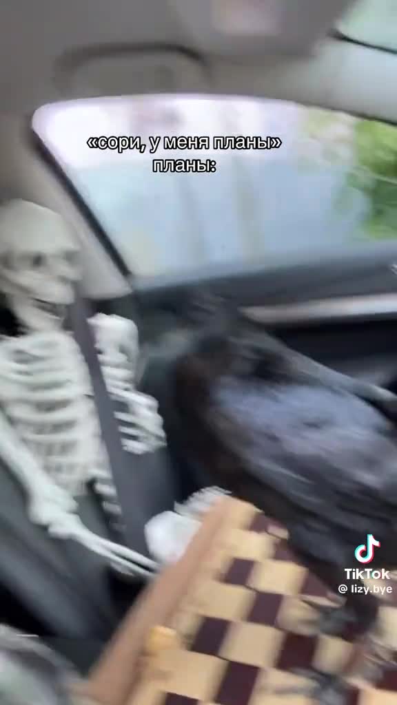 Чат