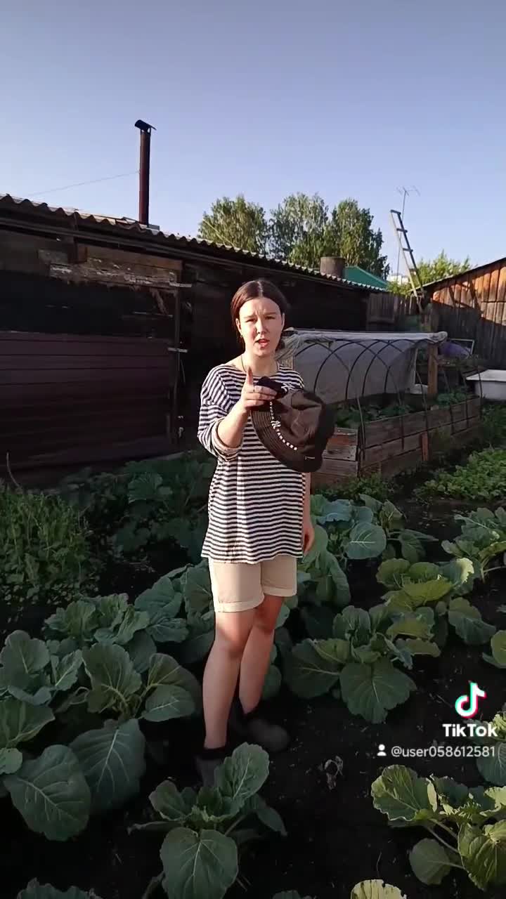 Чат