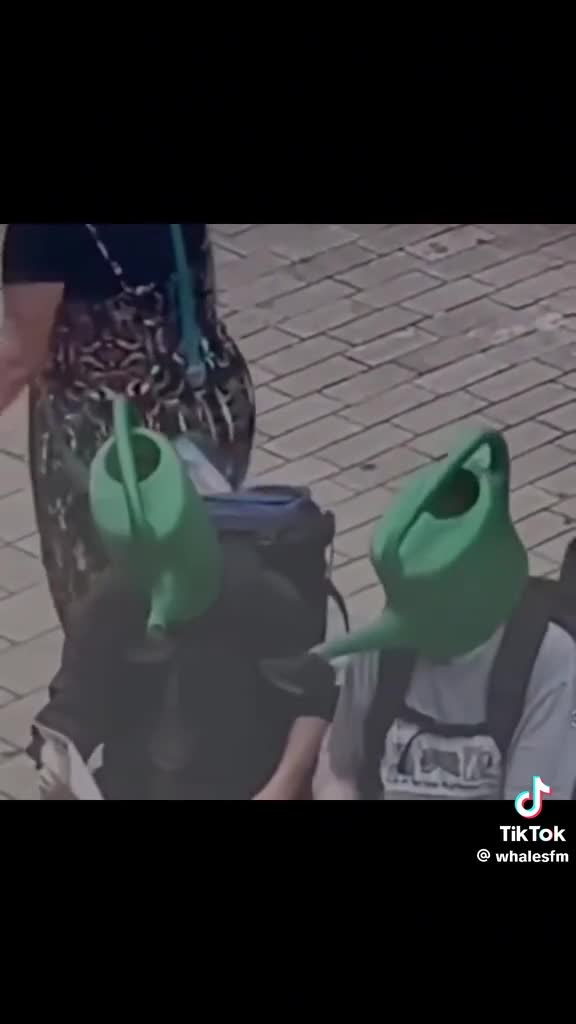 Чат