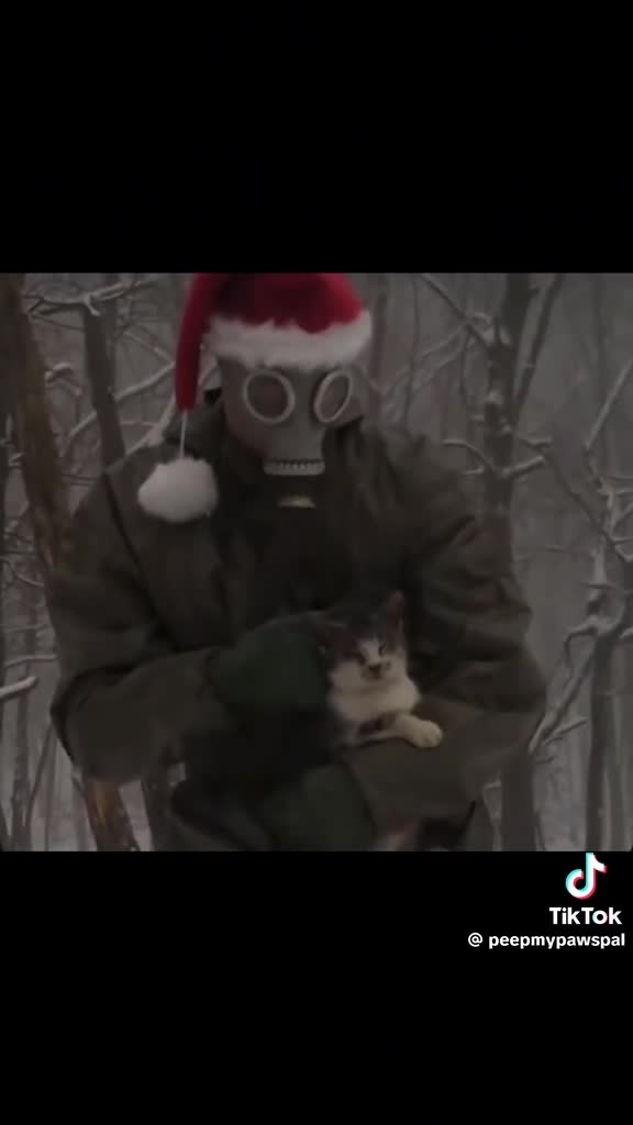 Чат